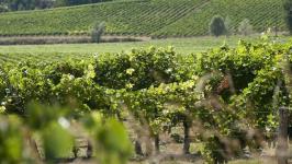domaine sanbatan