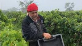 maffre philippe