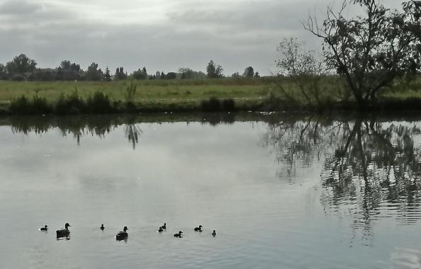 Lac des Teulières